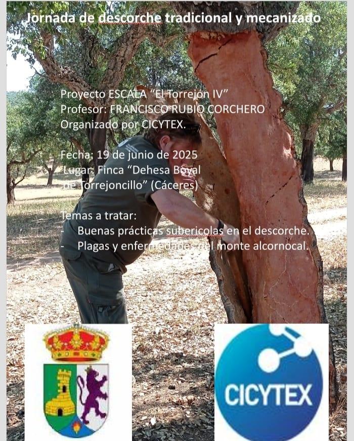 Imagen JORNADA FORMATIVA DE DESCORCHE TRADICIONAL Y MECANIZADO