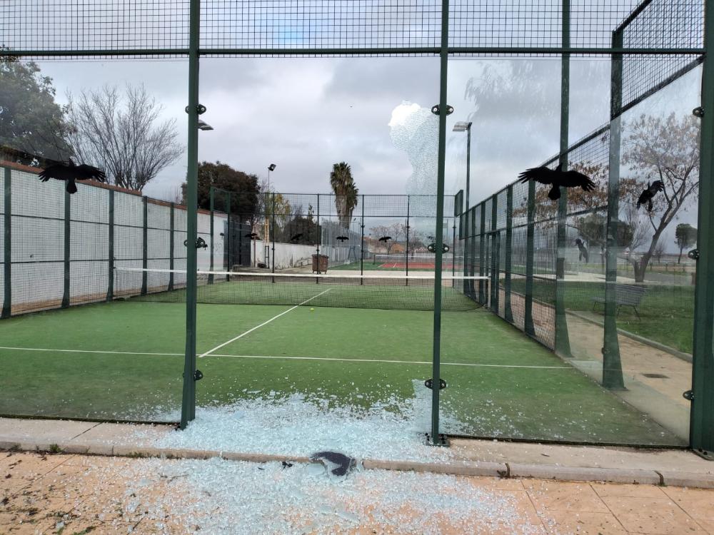 Imagen AVISOS. Rotura de cristal en la Pista de Pádel